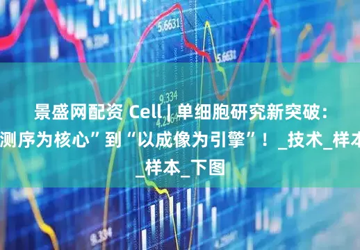 景盛网配资 Cell | 单细胞研究新突破：从“以测序为核心”到“以成像为引擎”！_技术_样本_下图