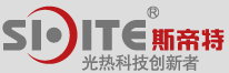 斯帝特