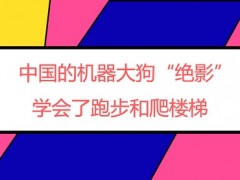 中國的機器大狗“絕影”學(xué)會了跑步和爬樓梯