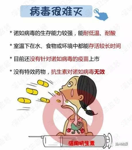 t01c7edce4e04ed6cb5.png?size=459x520