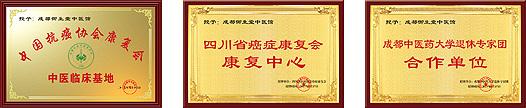 成都牌匾.jpg