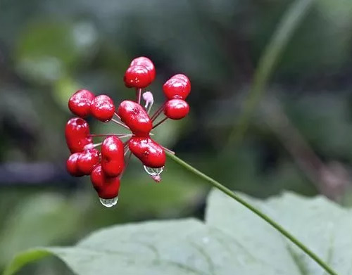無(wú)標(biāo)題-3.jpg