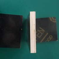 建筑模板多少錢一張 優(yōu)質(zhì)建筑模板
