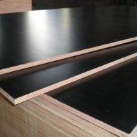 現(xiàn)代建筑模板 混凝土用建筑模板