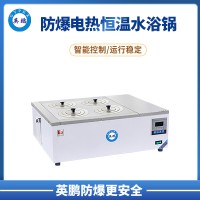 天津?qū)嶒?yàn)室防爆電熱恒溫水浴鍋防爆水浴鍋YPEX-SY1-1A