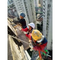 浦東塘橋鎮(zhèn)外墻涂料翻新防水 高空蜘蛛人公司