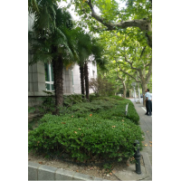 徐匯區(qū)徐家匯蜘蛛人高空吊繩作業(yè) 外墻安裝 拆除 防水 維修