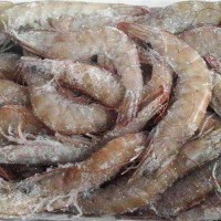 青島進口凍蝦的操作流程