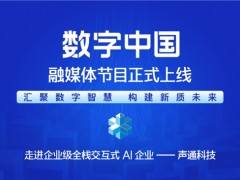 匯聚數(shù)字智慧 構(gòu)建新質(zhì)未來(lái)—— 《CMG數(shù)字中國(guó)》融媒體節(jié)目正式上線