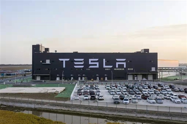 2022年押注特斯拉虧大了,！50支重倉(cāng)基金慘不忍睹