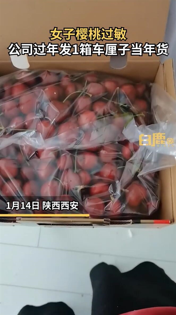 女子櫻桃過敏公司年貨發(fā)1箱車厘子：本來很期待公司的過年禮物