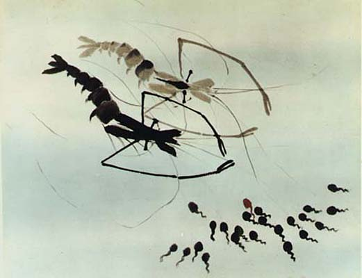 《中國(guó)奇譚》值得這么夸嗎？