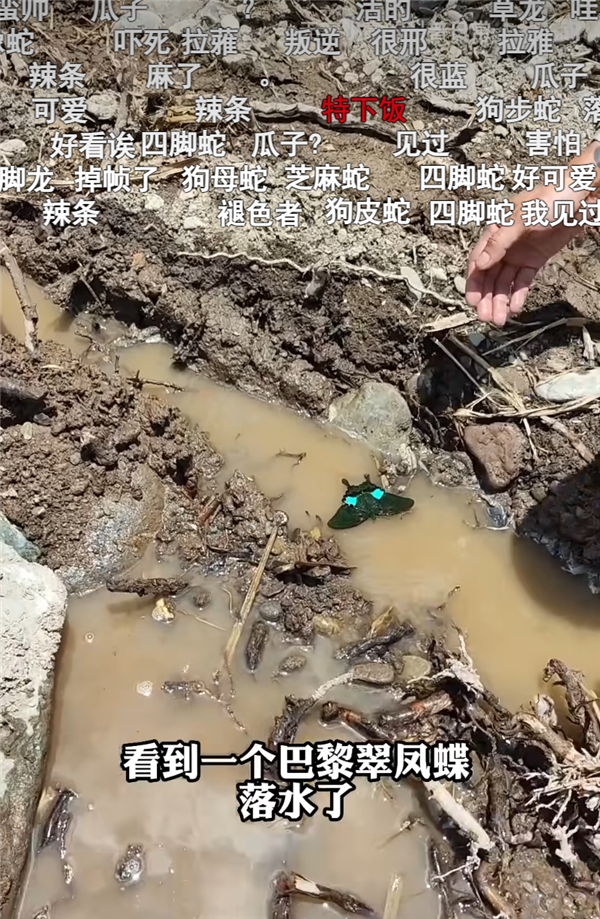 B站百大UP主名單出來(lái)后 為什么有人不同意,？