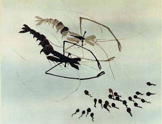 《中國(guó)奇譚》播放量破億 中國(guó)動(dòng)畫(huà)本該有的樣子