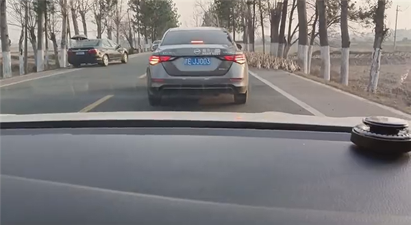 哭笑不得：轎車(chē)被群鴨團(tuán)團(tuán)圍住 一動(dòng)不敢動(dòng)