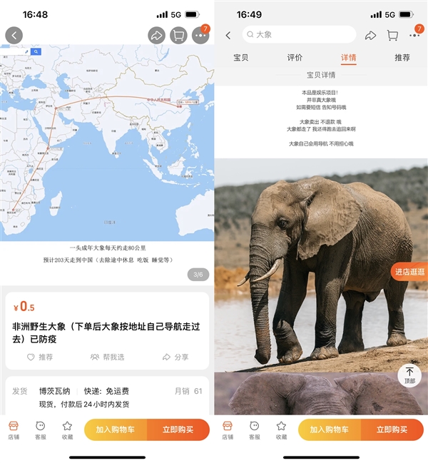 0.5元網(wǎng)購(gòu)一只野生大象 走到中國(guó)需要200天,？真有人買