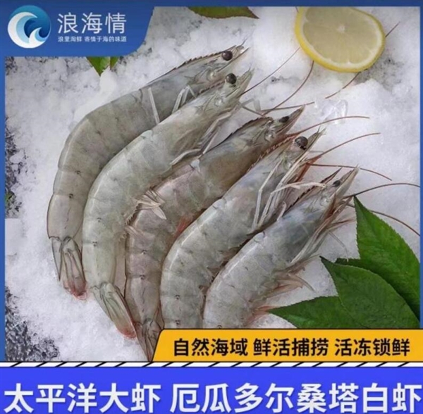 俞敏洪談野生蝦事件：犯了錯(cuò)誤 就要去改正