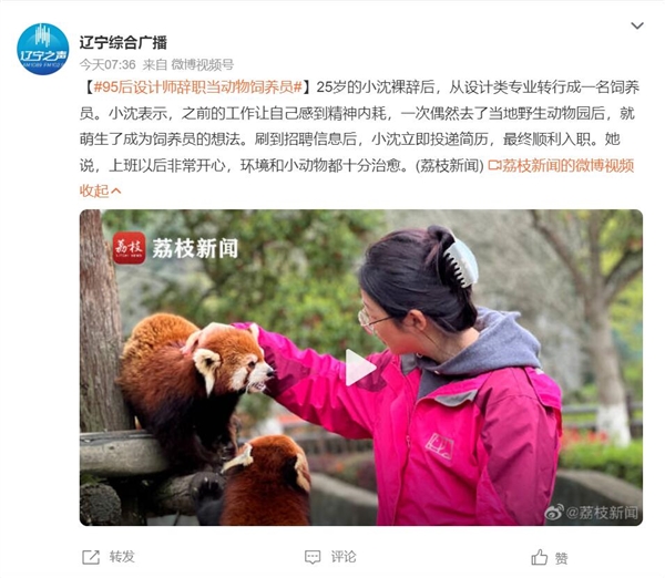95后設(shè)計師辭職當(dāng)動物飼養(yǎng)員：上班以后非常開心