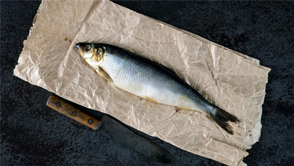 男子釣到大魚單手騎車被甩翻 網(wǎng)友：安全第一