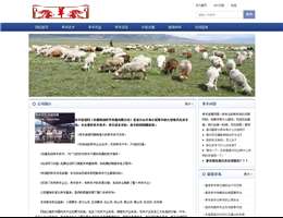 養(yǎng)羊的技術(shù)