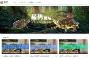 寵物同城網(wǎng)