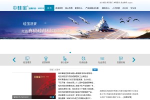 成都硅寶科技股份有限公司