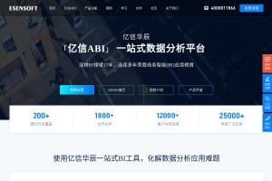 BI軟件