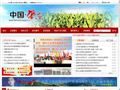 肇東政府網(wǎng)