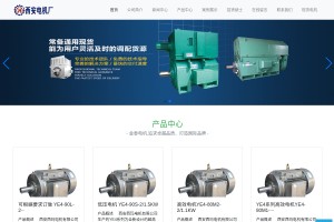 高壓防爆電機
